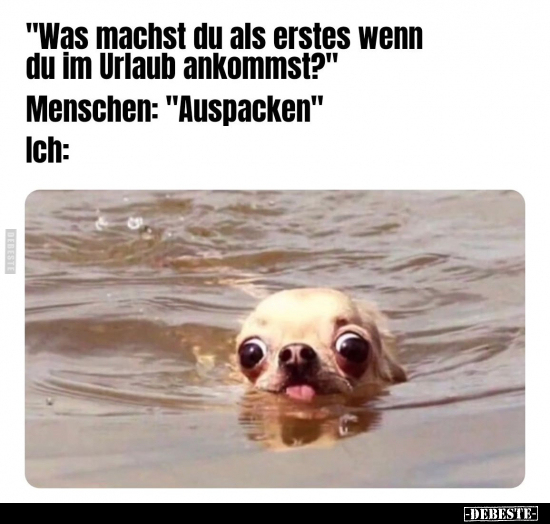 "Was machst du als erstes wenn du im Urlaub ankommst?".. - Lustige Bilder | DEBESTE.de