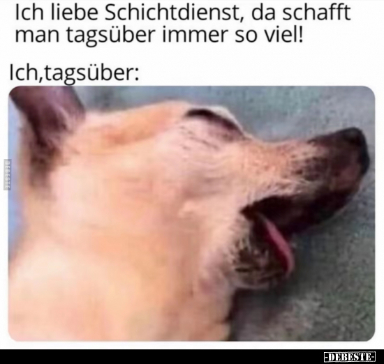 Ich liebe Schichtdienst, da schafft man tagsüber immer so.. - Lustige Bilder | DEBESTE.de