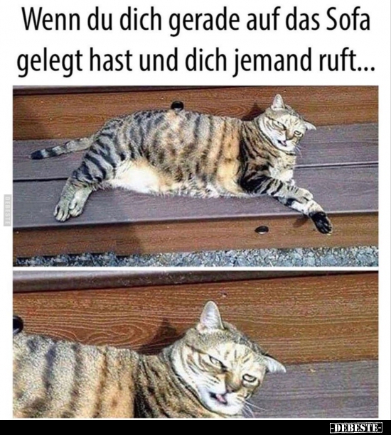 Wenn du dich gerade auf das Sofa gelegt hast und dich..