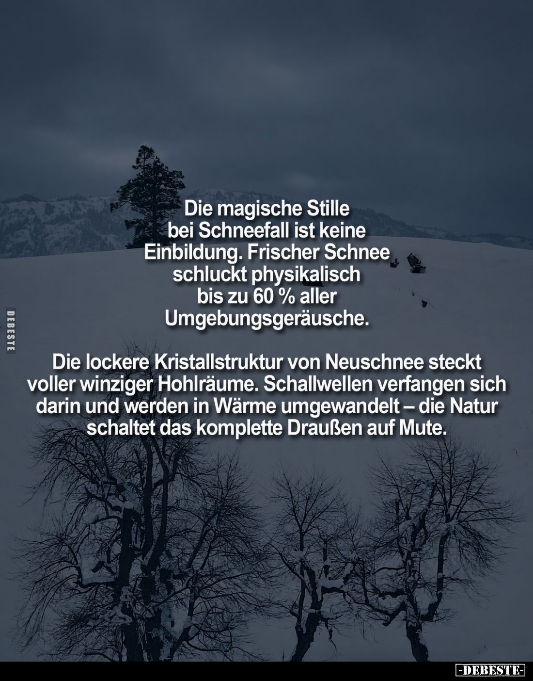 Die magische Stille bei Schneefall ist keine Einbildung.
Frischer Schnee schluckt physikalisch bis zu 60 % aller Umgebungsge...