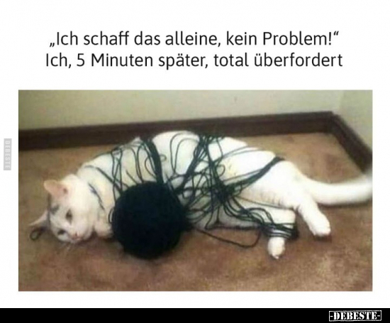 "Ich schaff das alleine, kein Problem!".. - Lustige Bilder | DEBESTE.de