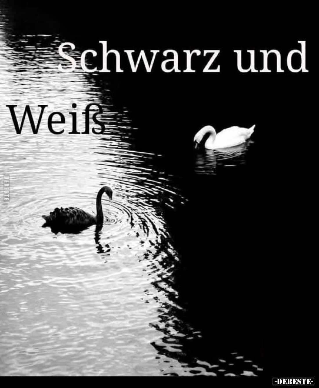 Schwarz und Weiss.