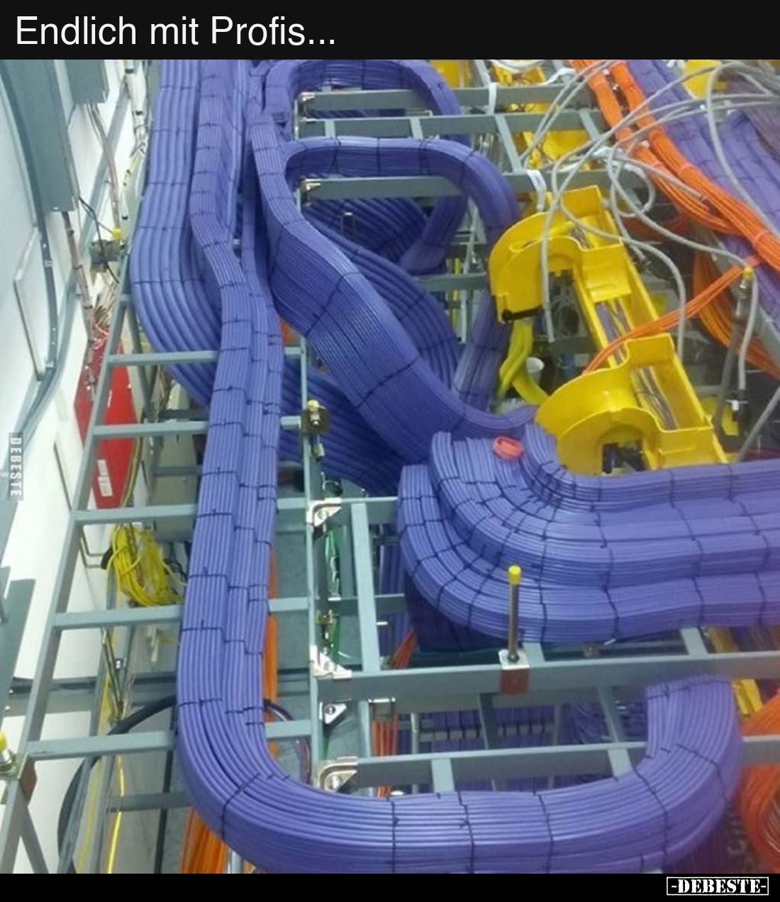 Endlich mit Profis...