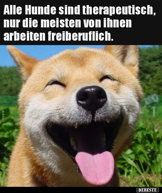 Alle Hunde sind therapeutisch, nur die meisten von ihnen..