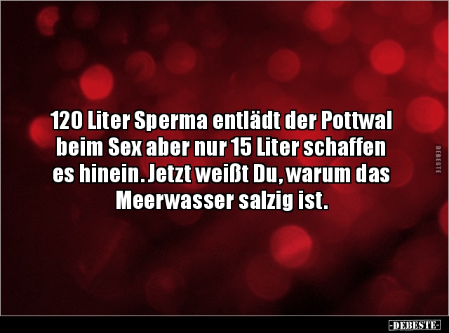 120 Liter Sperma entlädt der Pottwal beim Sex aber nur 15.. - Lustige Bilder | DEBESTE.de