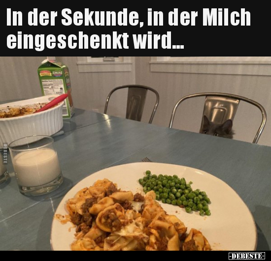 In der Sekunde, in der Milch eingeschenkt wird... - Lustige Bilder | DEBESTE.de