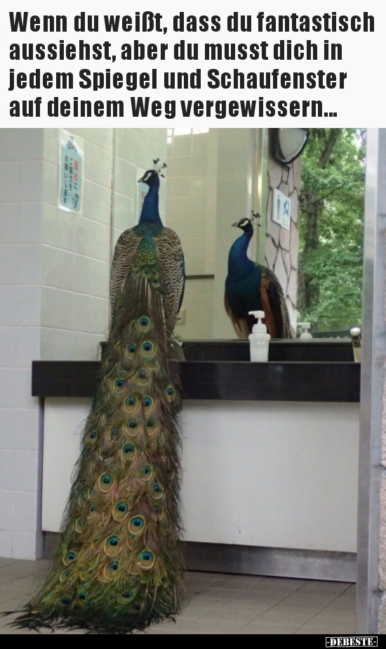 Wenn du weißt, dass du fantastisch aussiehst, aber du musst..