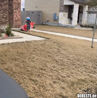 Wunschliste nicht gelesen...