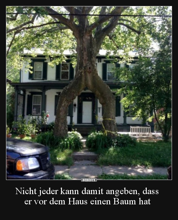 Nicht jeder kann damit angeben, dass er vor dem Haus einen..