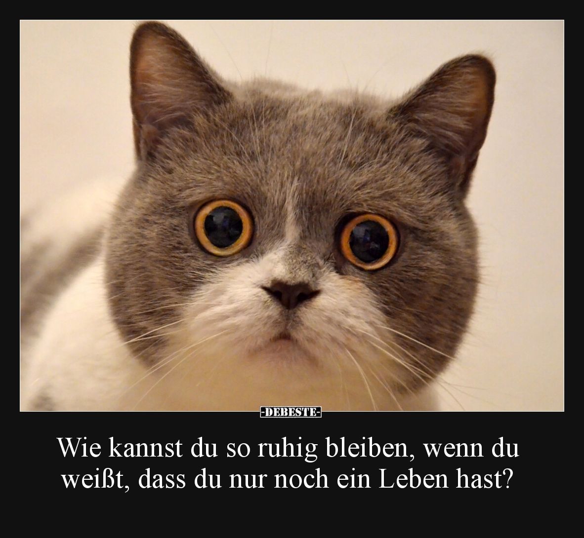Wie kannst du so ruhig bleiben, wenn du weißt, dass du nur noch ein Leben hast?