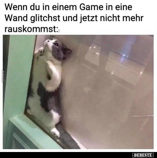 Wenn du in einem Game in eine Wand glitchst und jetzt nicht.. - Lustige Bilder | DEBESTE.de