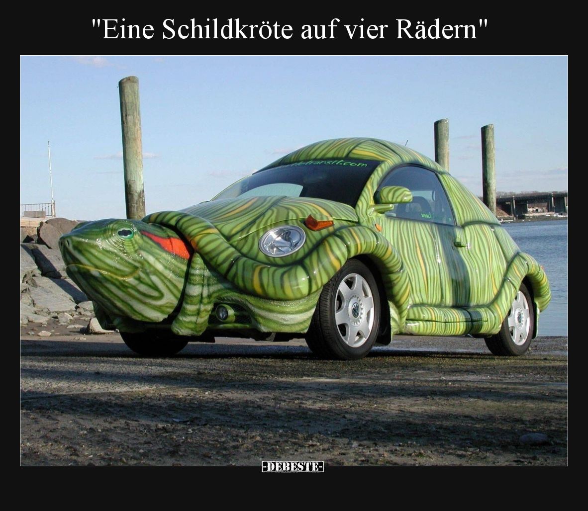 Eine Schildkröte auf vier Rädern.