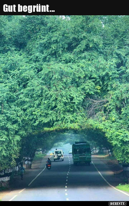 Gut begrünt...