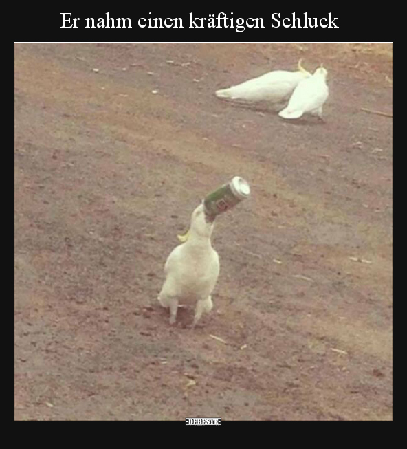 Er nahm einen kräftigen Schluck