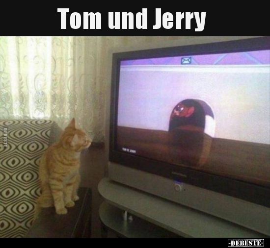 Tom und Jerry.. - Lustige Bilder | DEBESTE.de