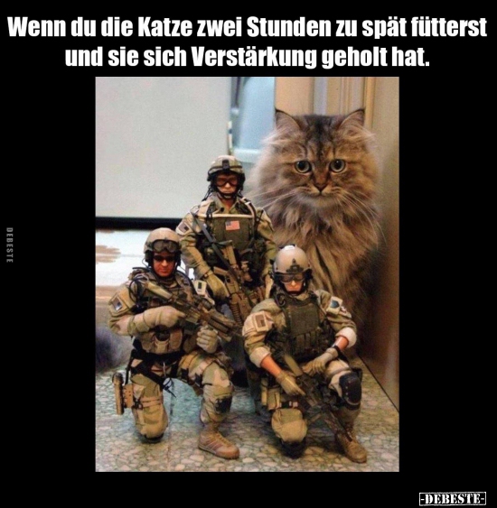 Wenn du die Katze zwei Stunden zu spät fütterst und sie.. - Lustige Bilder | DEBESTE.de