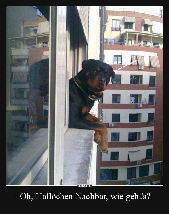 Oh, Hallöchen Nachbar, wie geht's?..