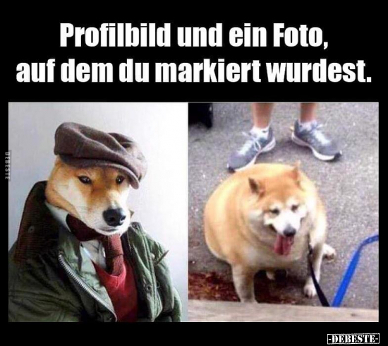 Profilbild und ein Foto, auf dem du markiert wurdest... - Lustige Bilder | DEBESTE.de
