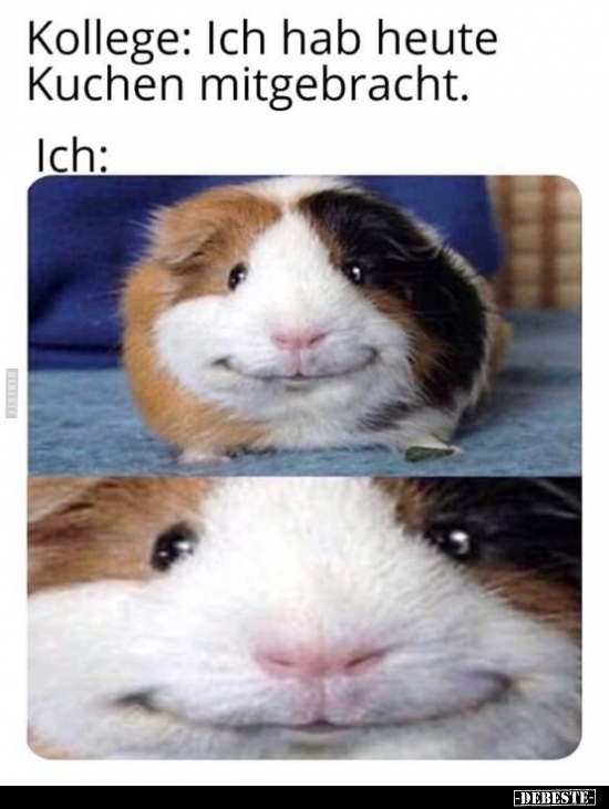 Kollege: Ich hab heute Kuchen mitgebracht..