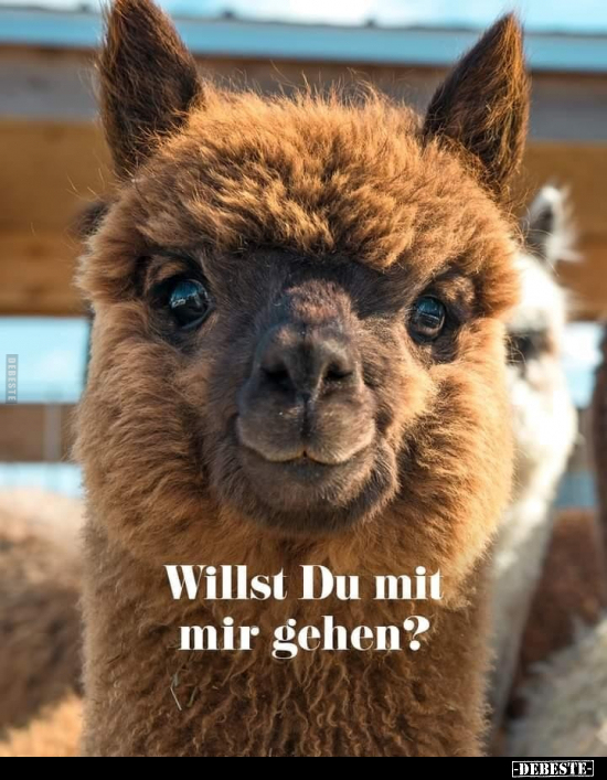 Willst Du mit mir gehen?
