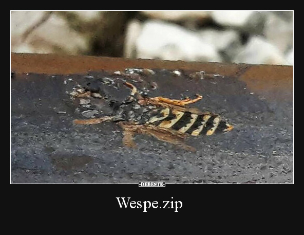 Wespe.zip