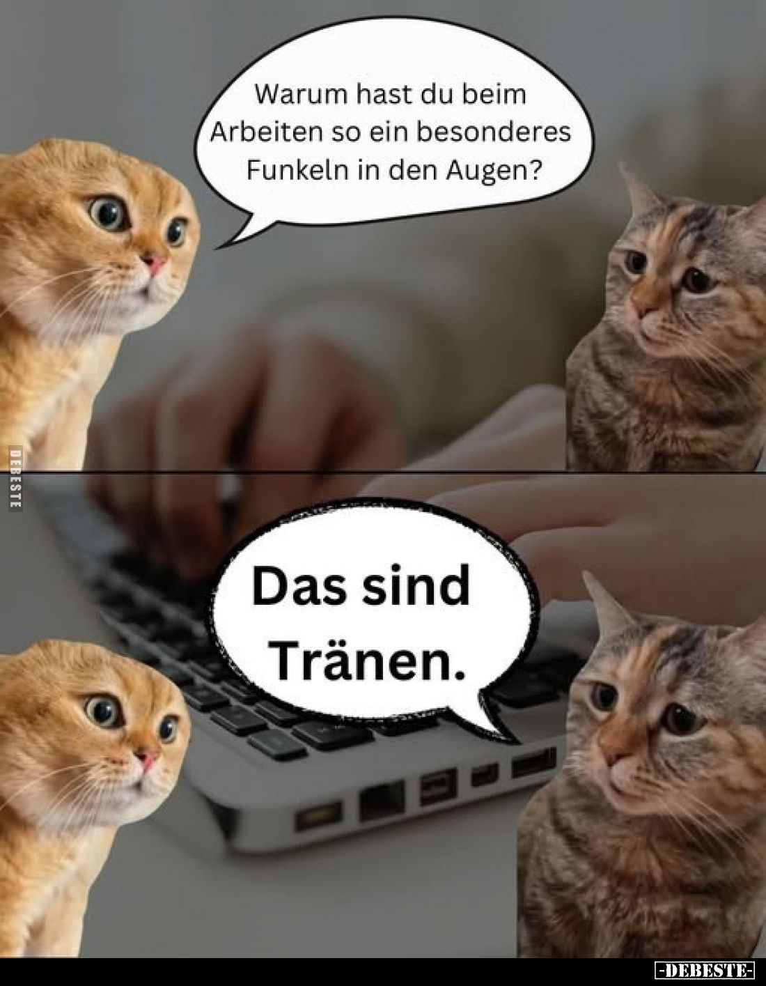 Warum hast du beim Arbeiten so ein besonderes Funkeln in den Augen?
-
Das sind Tränen.
