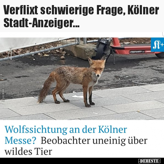 Verflixt schwierige Frage, Kölner Stadt-Anzeiger... - Lustige Bilder | DEBESTE.de