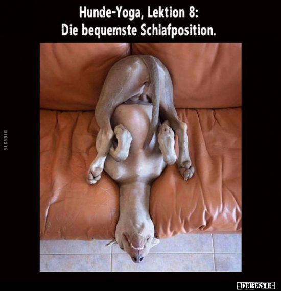 Hunde-Yoga, Lektion 8: Die bequemste Schlafposition... - Lustige Bilder | DEBESTE.de