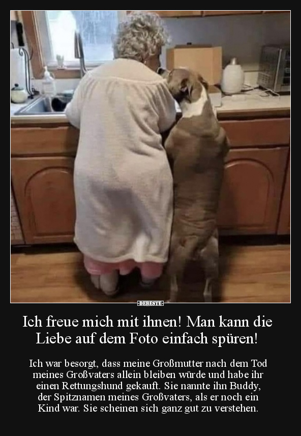 Ich freue mich mit ihnen! Man kann die Liebe auf dem Foto.. - Lustige Bilder | DEBESTE.de