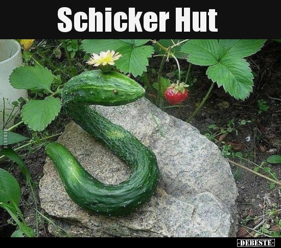 Schicker Hut..