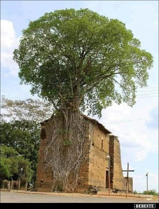  - Lustige Bilder | DEBESTE.de