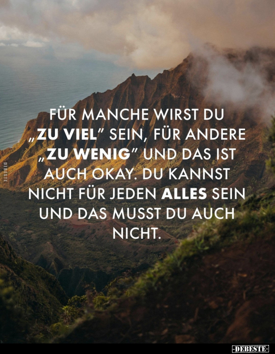 Für manche wirst du "zu viel" sein.. - Lustige Bilder | DEBESTE.de