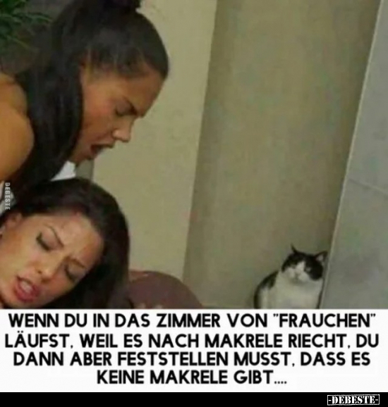 Wenn du in das Zimmer von "Frauchen" läufst, weil es nach.. - Lustige Bilder | DEBESTE.de