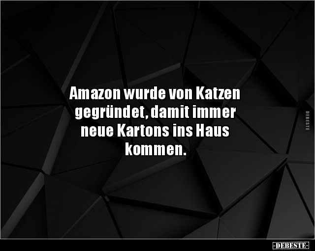 Amazon wurde von Katzen gegründet, damit immer neue.. - Lustige Bilder | DEBESTE.de