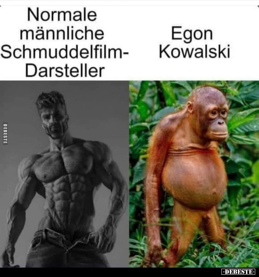 Normale männliche Schmuddelfilm-Darsteller
-
Egon Kowalski