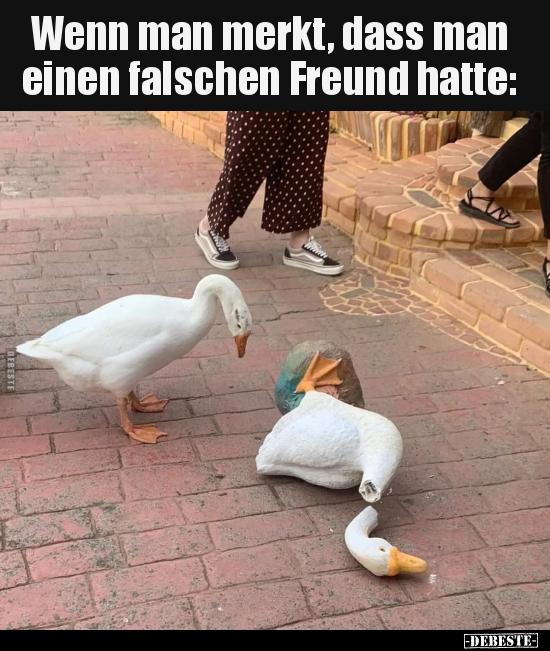 Wenn man merkt, dass man einen falschen Freund hatte: