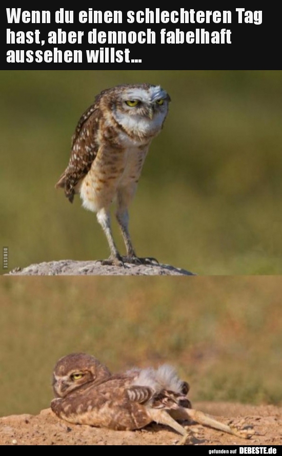 Wenn du einen schlechteren Tag hast, aber dennoch fabelhaft..