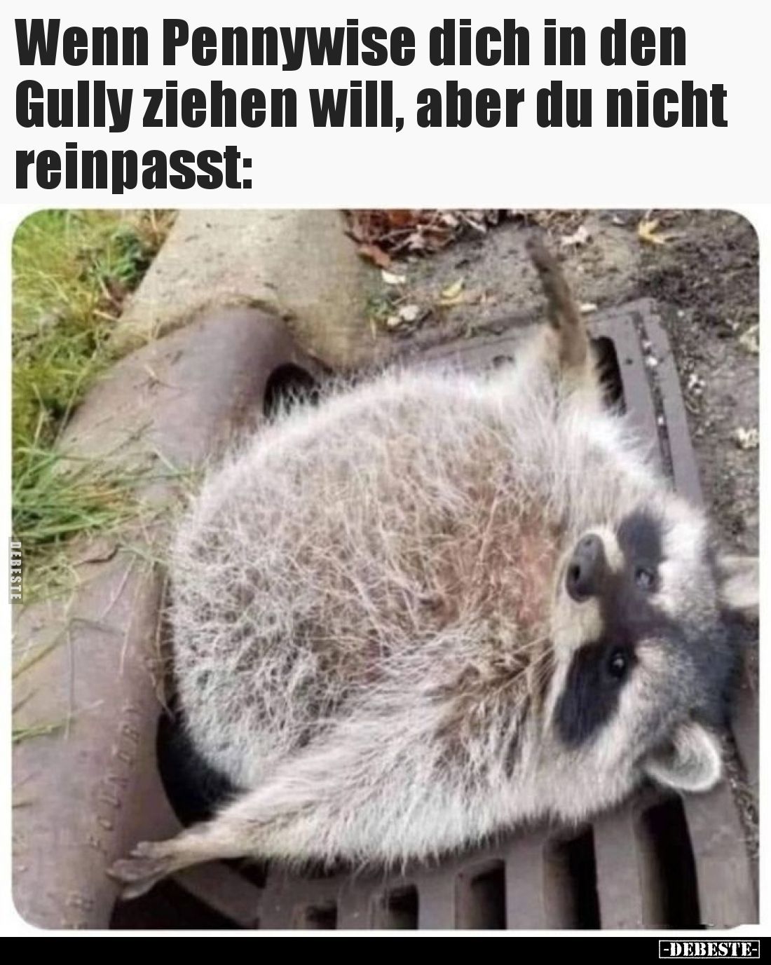 Wenn Pennywise dich in den Gully ziehen will, aber du nicht reinpasst:
