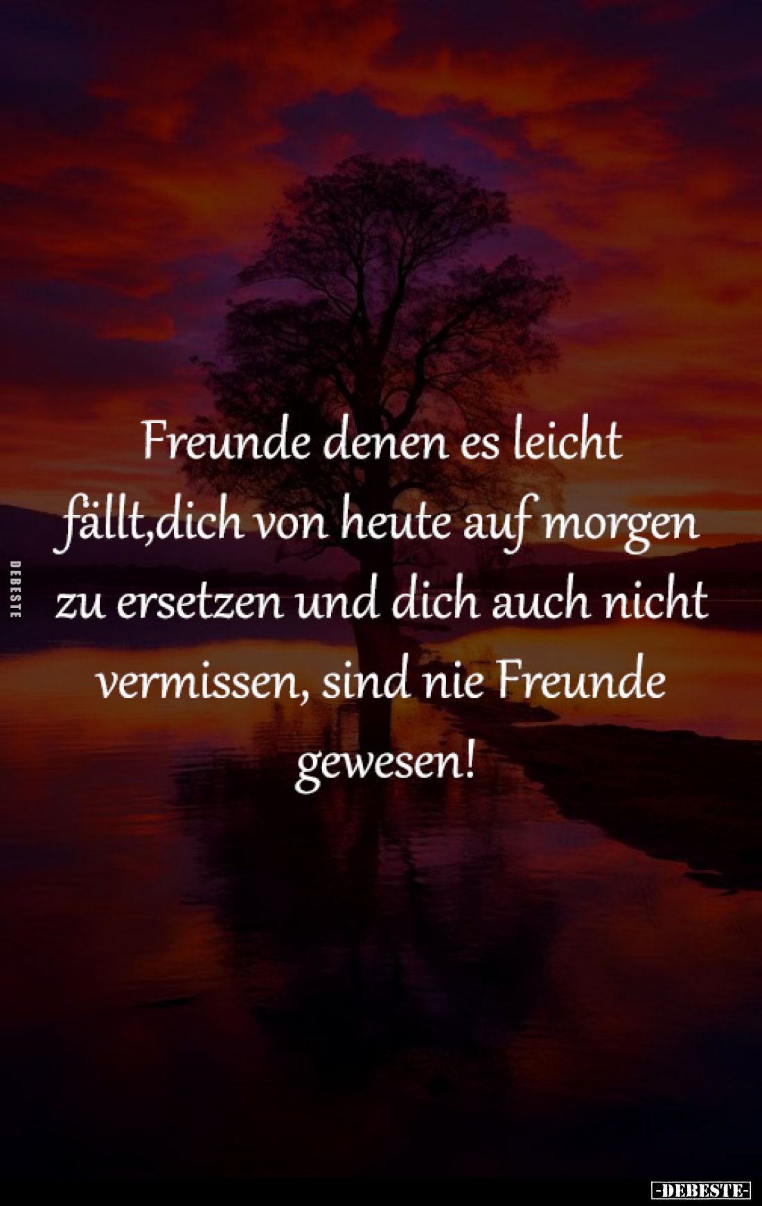 Freunde denen es leicht 
fällt,dich von heute auf morgen 
zu ersetzen und dich auch nicht 
vermissen, sind nie Freunde 
g...