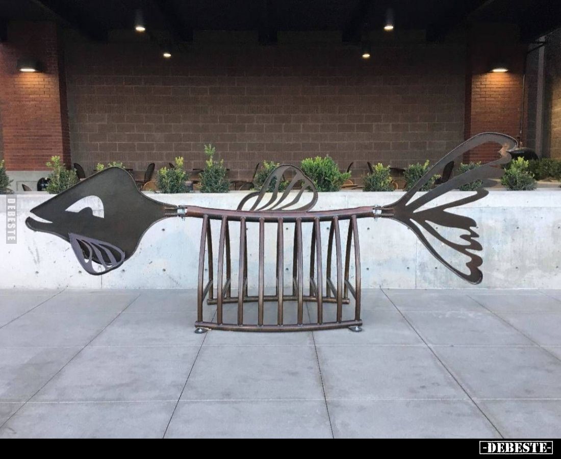  - Lustige Bilder | DEBESTE.de