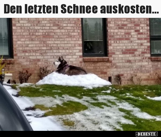 Den letzten Schnee auskosten...
