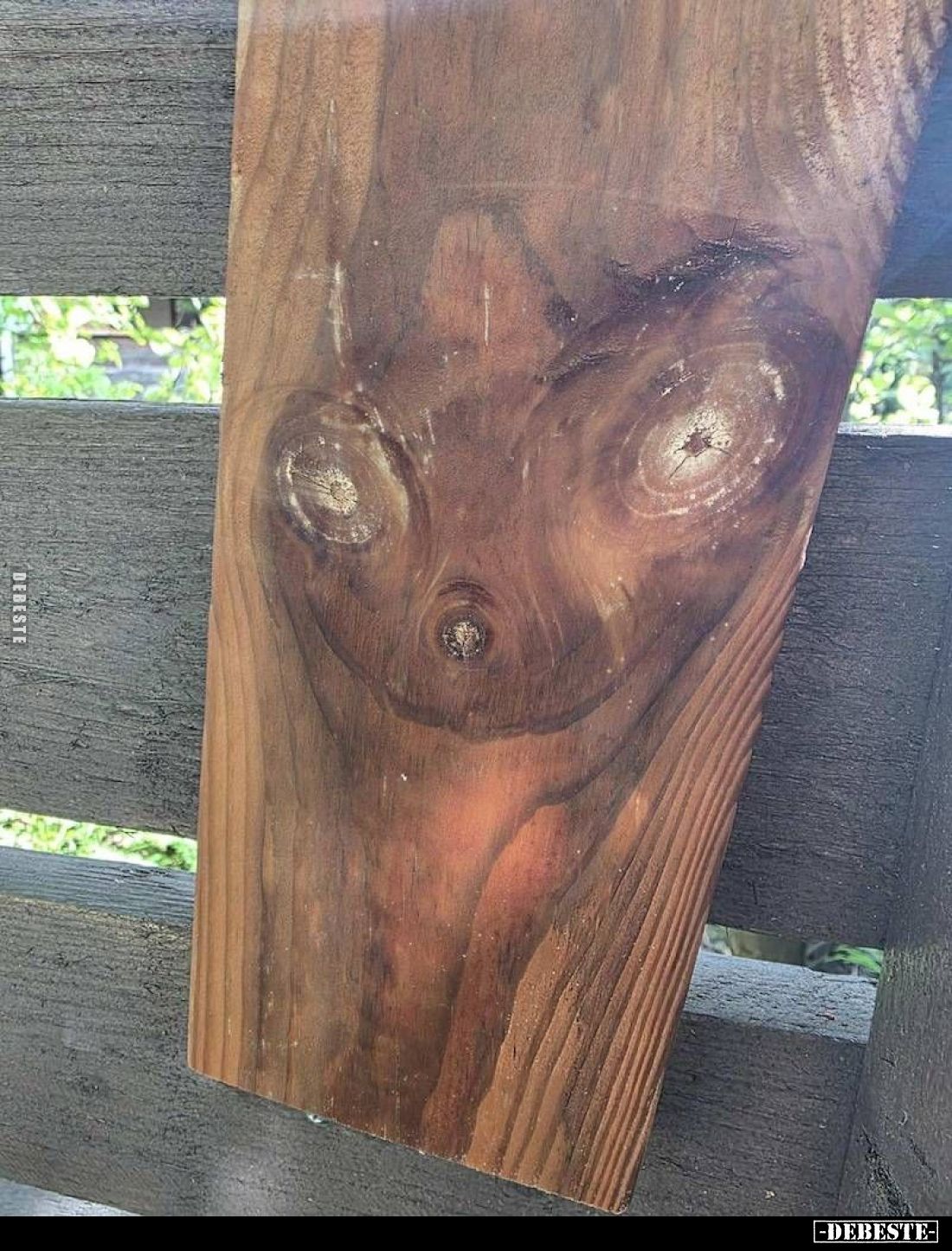 Dinge mit Gesicht