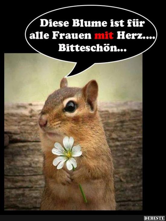 Diese Blume ist für alle Frauen mit Herz.. - Lustige Bilder | DEBESTE.de