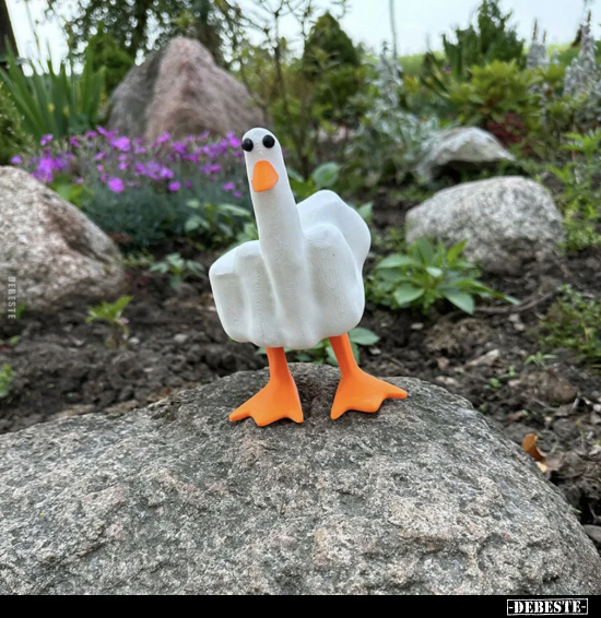 Peace was never an option