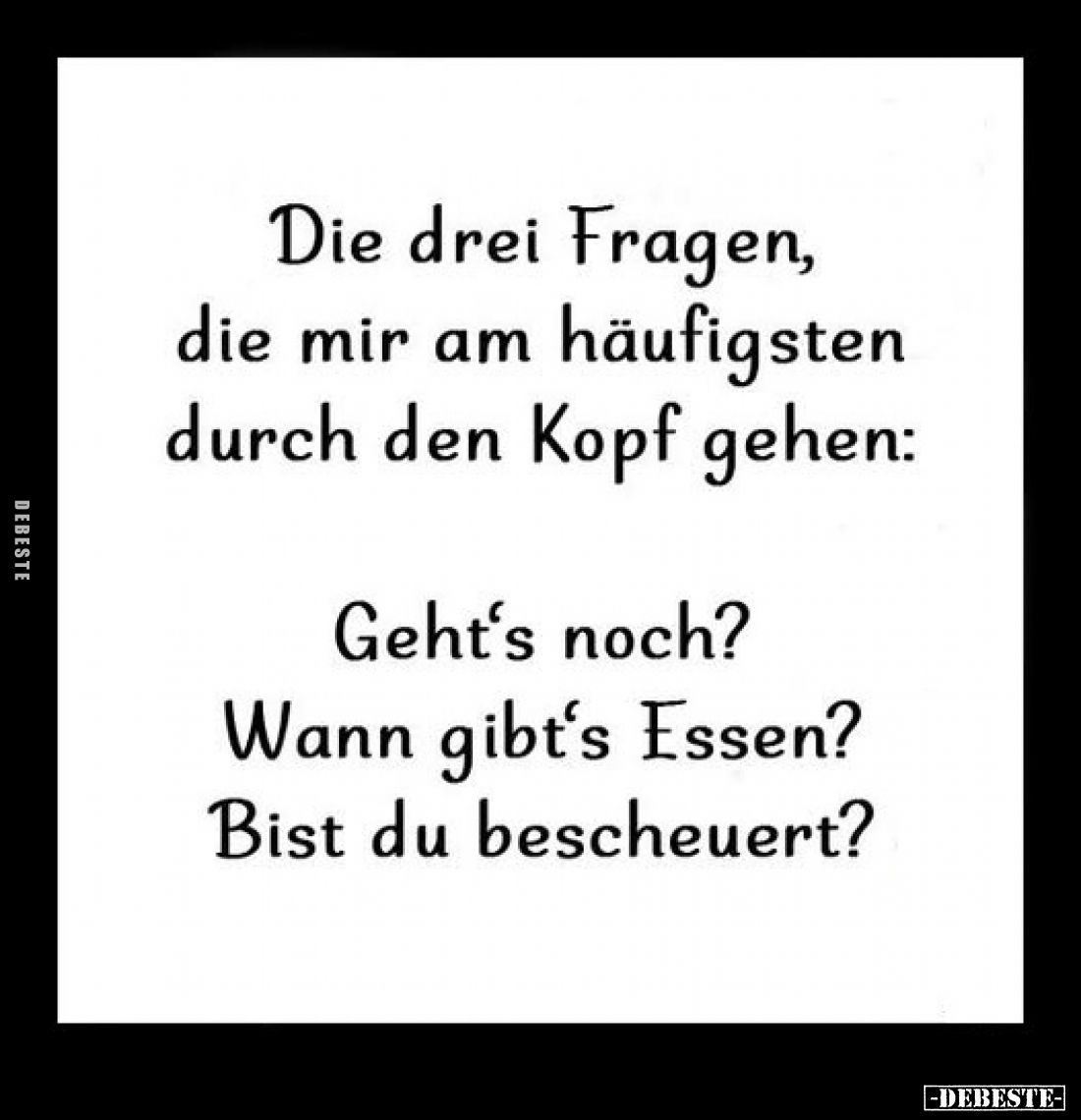 Die drei Fragen, die mir am häufigsten durch den Kopf gehen:
Geht's noch?
Wann gibt's Essen?
Bist du bescheuert?