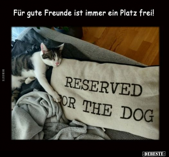 Für gute Freunde ist immer ein Platz frei!.. - Lustige Bilder | DEBESTE.de