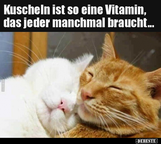 Kuscheln ist so eine Vitamin, das jeder manchmal braucht