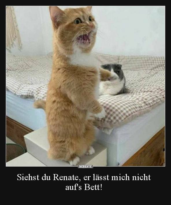 Siehst du Renate, er lässt mich nicht auf's Bett!
