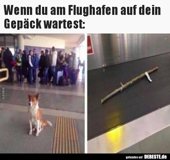 Wenn du am Flughafen auf dein Gepäck wartest.. - Lustige Bilder | DEBESTE.de
