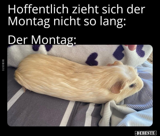 Hoffentlich zieht sich der Montag nicht so lang.. - Lustige Bilder | DEBESTE.de